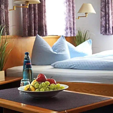 Hecht Sulz am Neckar